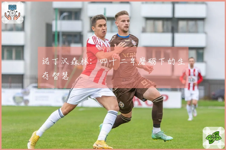 诺丁汉森林：四十二年磨砺下的生存智慧