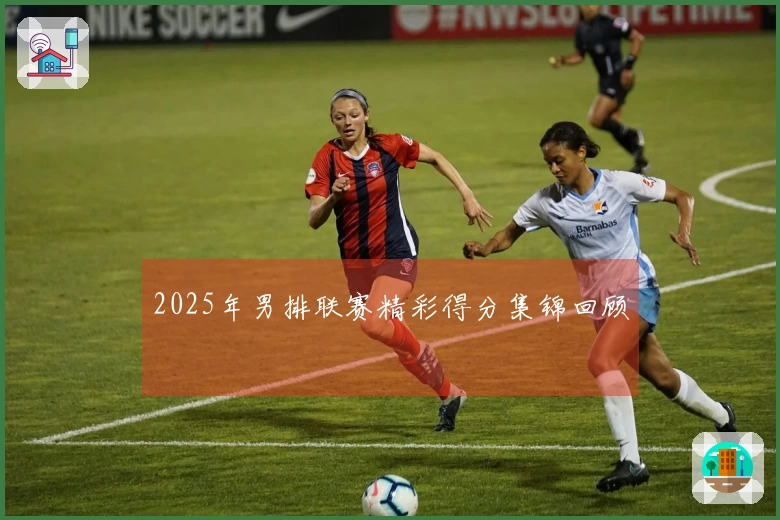 2025年男排联赛精彩得分集锦回顾