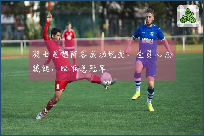 骑士重塑阵容成功蜕变，全员心态稳健，瞄准总冠军