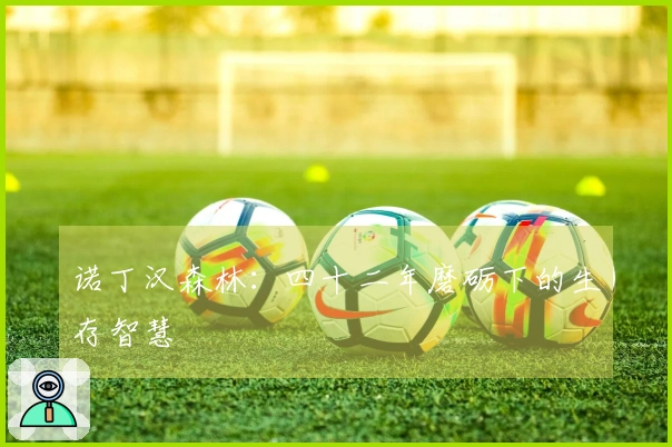 诺丁汉森林：四十二年磨砺下的生存智慧